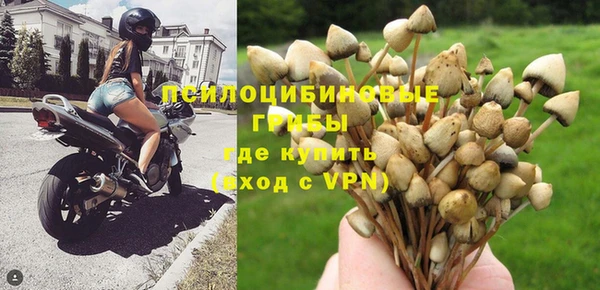 ALPHA PVP Новозыбков