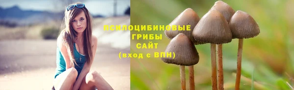 прущая мука Бикин