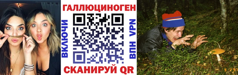 закладки  Печора  Галлюциногенные грибы Psilocybe 