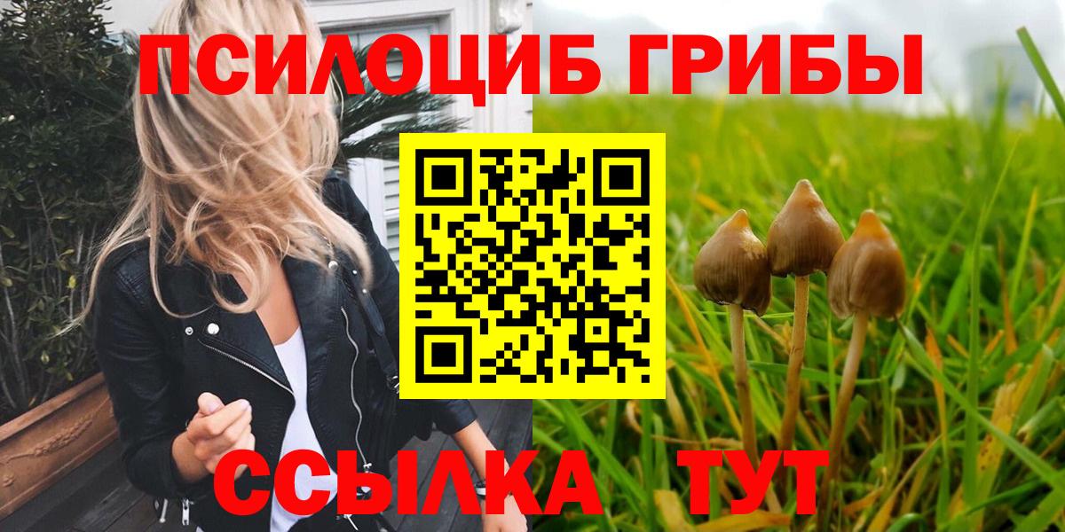 Галлюциногенные грибы GOLDEN TEACHER Печора