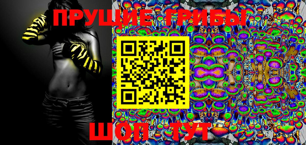 Галлюциногенные грибы GOLDEN TEACHER  Вход с VPN  Печора 